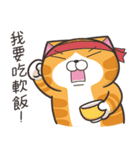 ランラン猫 67 (台湾版)（個別スタンプ：24）
