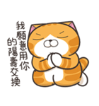 ランラン猫 67 (台湾版)（個別スタンプ：27）