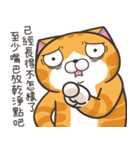 ランラン猫 67 (台湾版)（個別スタンプ：28）