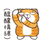 ランラン猫 67 (台湾版)（個別スタンプ：30）