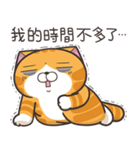 ランラン猫 67 (台湾版)（個別スタンプ：34）