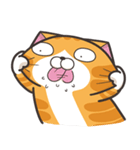 ランラン猫 67 (台湾版)（個別スタンプ：40）