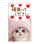 スコティッシュ猫 思いやり吹き出し敬語BIG（個別スタンプ：14）