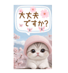 スコティッシュ猫 思いやり吹き出し敬語BIG（個別スタンプ：22）