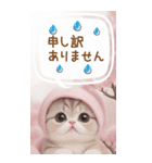 スコティッシュ猫 思いやり吹き出し敬語BIG（個別スタンプ：24）