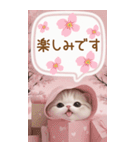 スコティッシュ猫 思いやり吹き出し敬語BIG（個別スタンプ：27）