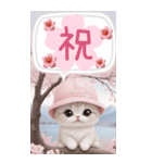 スコティッシュ猫 思いやり吹き出し敬語BIG（個別スタンプ：29）