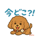 ポムのキュートなスタンプ（個別スタンプ：1）