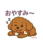 ポムのキュートなスタンプ（個別スタンプ：16）