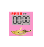 おもしろバナナスタンプ（個別スタンプ：11）