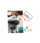 動く！アロンのスタンプ（個別スタンプ：4）
