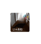 動く！アロンのスタンプ（個別スタンプ：12）