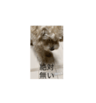 kuktwm"g（個別スタンプ：3）