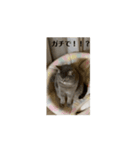 kuktwm"g（個別スタンプ：6）