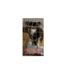 kuktwm"g（個別スタンプ：8）