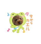 COCOまるちゃんの動くスタンプ①（個別スタンプ：3）