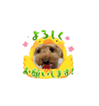 COCOまるちゃんの動くスタンプ①（個別スタンプ：5）