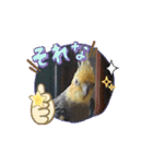 うちのオカメインコ*一部始終（個別スタンプ：8）