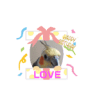 うちのオカメインコ*一部始終（個別スタンプ：9）