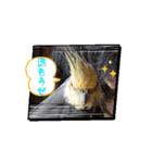 うちのオカメインコ*一部始終（個別スタンプ：10）