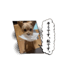 仲良し兄弟スタンプ（る）（個別スタンプ：13）