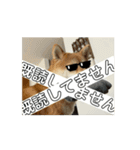 豆柴の福と申します（個別スタンプ：9）