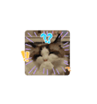 赤ちゃんしろぷ（個別スタンプ：2）