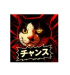 しらすさん家の保護猫たち2（挨拶中心）（個別スタンプ：6）
