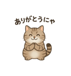 可愛いトラの日常（個別スタンプ：3）