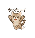 可愛いトラの日常（個別スタンプ：14）