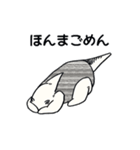 アリクイ 関西弁スタンプ（個別スタンプ：5）