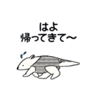 アリクイ 関西弁スタンプ（個別スタンプ：13）