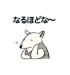 アリクイ 関西弁スタンプ（個別スタンプ：19）