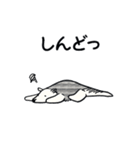 アリクイ 関西弁スタンプ（個別スタンプ：24）