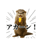ゆる関西弁あにまるず（個別スタンプ：3）