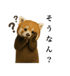 ゆる関西弁あにまるず（個別スタンプ：5）