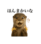 ゆる関西弁あにまるず（個別スタンプ：6）