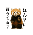 ゆる関西弁あにまるず（個別スタンプ：11）