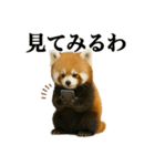 ゆる関西弁あにまるず（個別スタンプ：16）