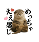 ゆる関西弁あにまるず（個別スタンプ：17）