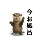 ゆる関西弁あにまるず（個別スタンプ：20）