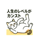 舐めプ猫（しらすさん家の保護猫たち3）（個別スタンプ：1）