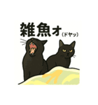 舐めプ猫（しらすさん家の保護猫たち3）（個別スタンプ：3）