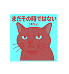 舐めプ猫（しらすさん家の保護猫たち3）（個別スタンプ：6）