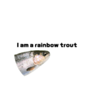 The annoyingRainbow trout（個別スタンプ：1）
