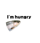 The annoyingRainbow trout（個別スタンプ：2）