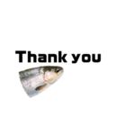 The annoyingRainbow trout（個別スタンプ：4）