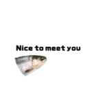 The annoyingRainbow trout（個別スタンプ：8）