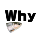The annoyingRainbow trout（個別スタンプ：9）