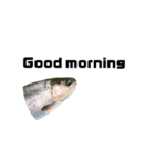 The annoyingRainbow trout（個別スタンプ：12）